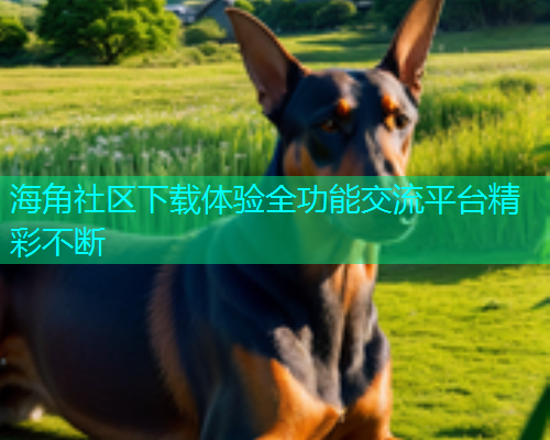 海角社区下载体验全功能交流平台精彩不断